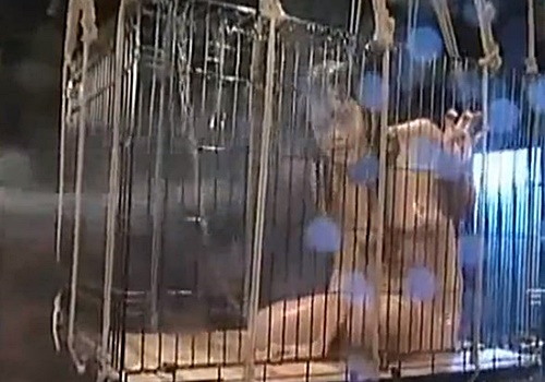 ペット用の檻で飼育するメス奴隷にホースで冷水をぶっかけるおしおきイジメ動画