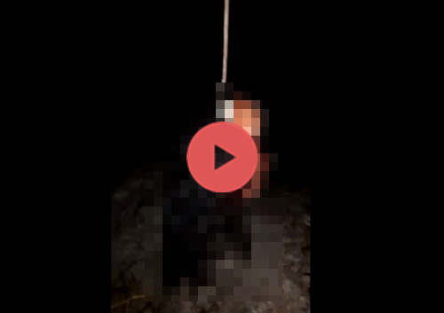 殺人動画 これがブラジルの日常 女性が斧で斬首される一部始終をご覧ください グロ注意 Hard Style ハードスタイル