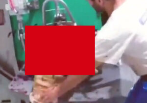 【閲覧注意】ひたすら ”切る” だけの簡単なお仕事です・・・(精神崩壊)