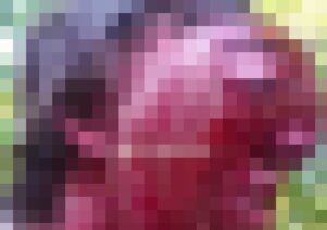 【超閲覧注意】顔面が爆発寸前の男・・・・・・