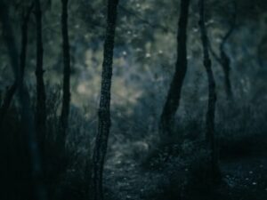 【閲覧注意】道路脇で”コレ”を見つけてしまった通行人、戦慄する（動画あり）