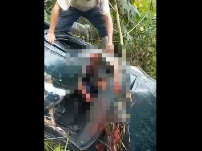 【閲覧注意】事故って崖下に落ちた乗用車のドライバー、”恐ろしい姿”で発見される（動画あり）