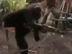 【閲覧注意】屈強な兵士「チンパンジーに銃を渡したら恐ろしい事になってしまった...」⇒ 動画