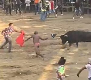 【閲覧注意】闘牛に襲われた男性、下腹部を引き裂かれ大怪我【動画】
